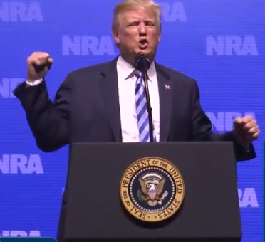 A Bold NRA Trump